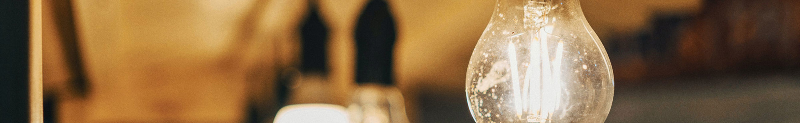 Pexels Fox 1122912 Web