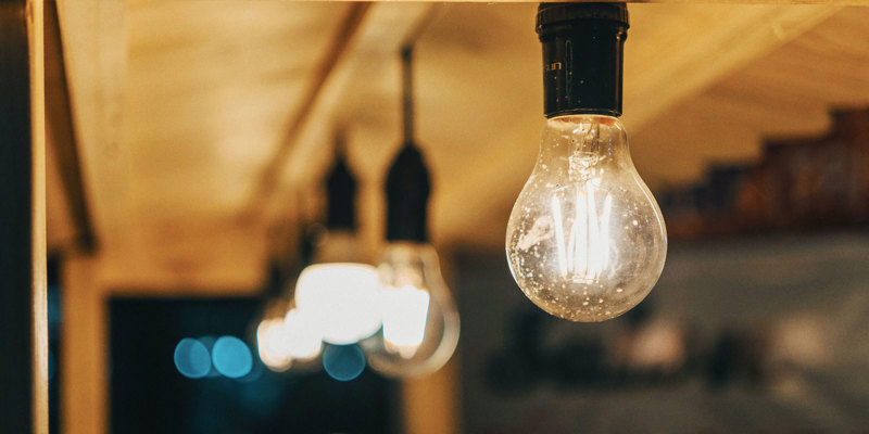 Pexels Fox 1122912 Web